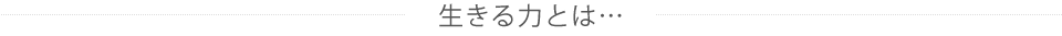 生きる力とは…